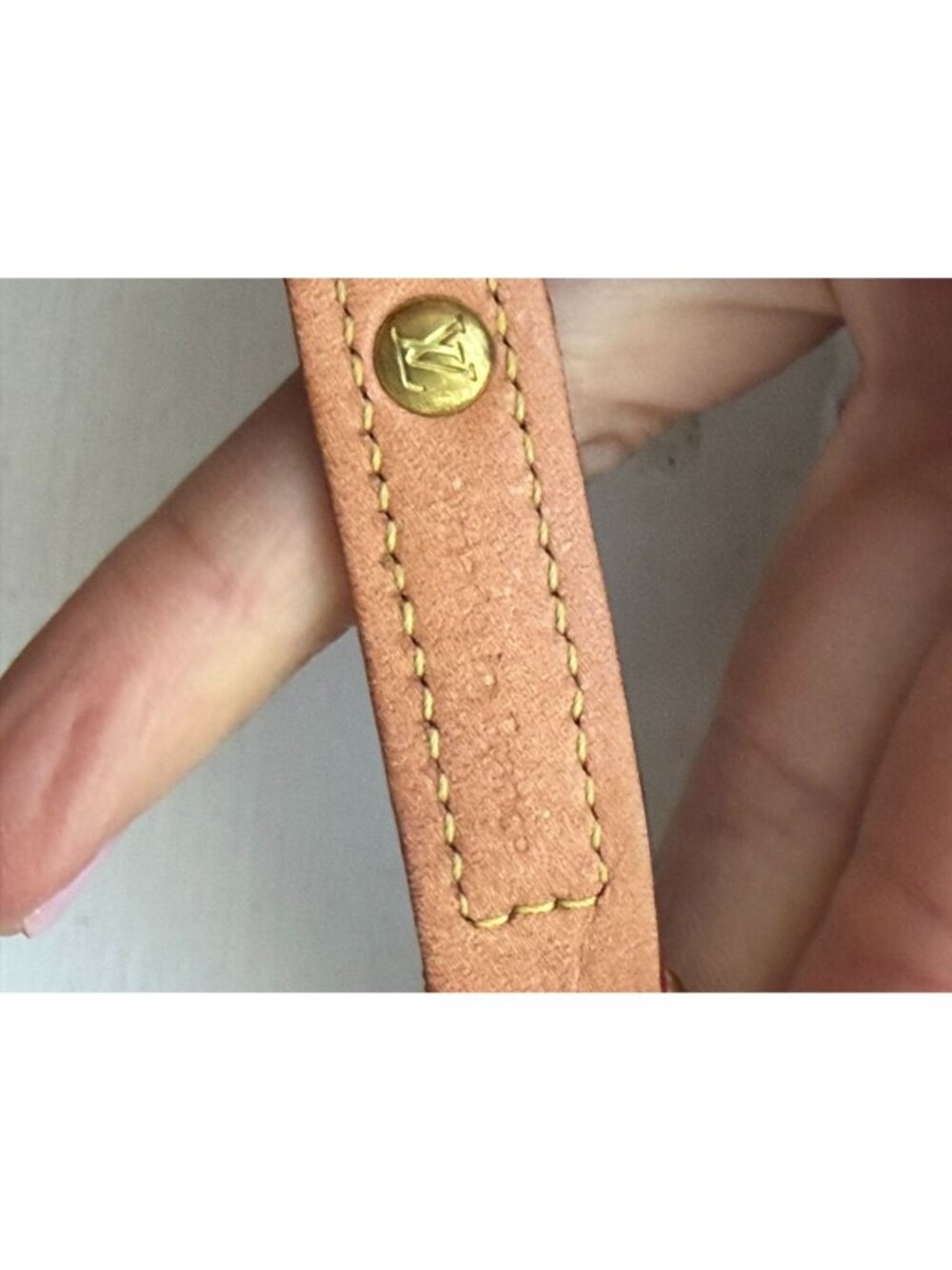 LOUIS VUITTON Baxter PM Dog Collar & Leash Small dog - Picture 4 of 8